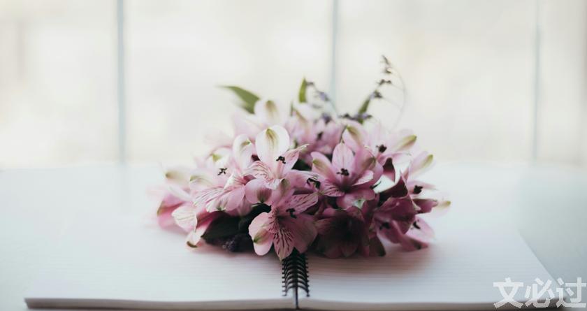 文必过降AIGC,文必过免费论文改重,文必过智能论文降重系统