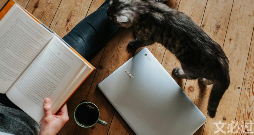 文必过降AIGC,文必过免费论文改重,文必过智能论文降重系统